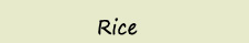 Rice
